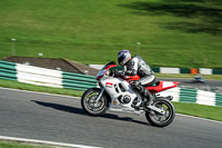 cadwell-no-limits-trackday;cadwell-park;cadwell-park-photographs;cadwell-trackday-photographs;enduro-digital-images;event-digital-images;eventdigitalimages;no-limits-trackdays;peter-wileman-photography;racing-digital-images;trackday-digital-images;trackday-photos